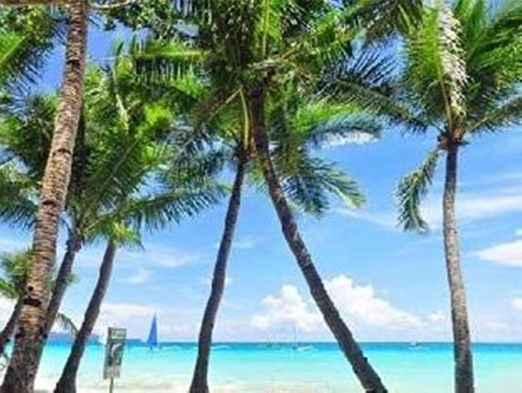Boracay Coco Huts Hotel Balabag  Exterior foto